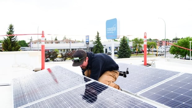 Solar co-ops help more people get a piece of the sun’s energy
