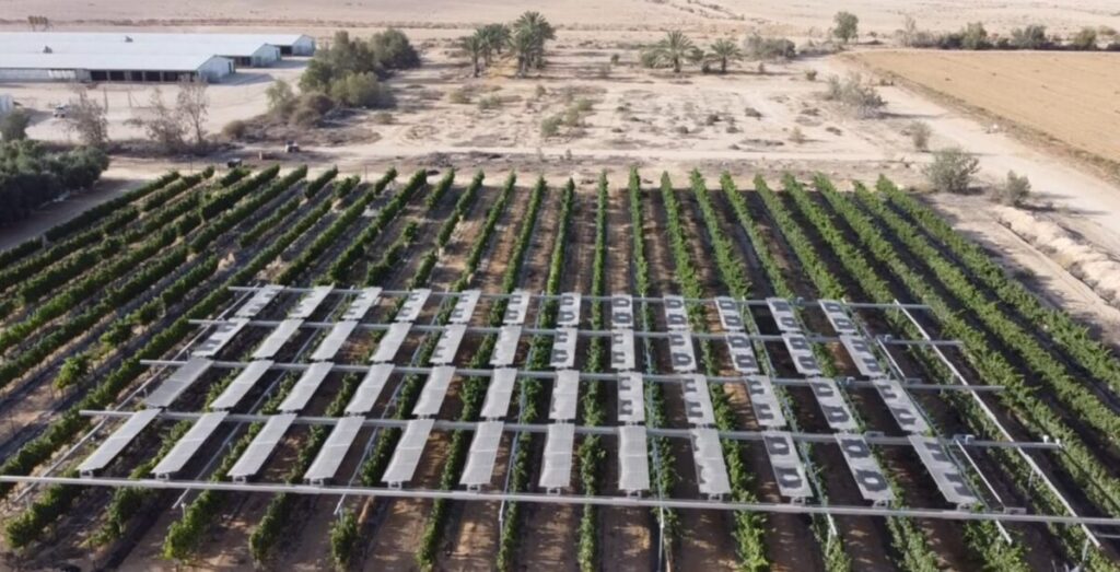 Israeli startup launches agrivoltaic pilot in desert with double-axis sun tracking