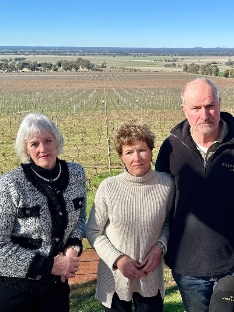 ‘Up-and-coming Barossa Valley’ pushes back against large solar farm