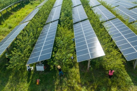 China building more wind, solar capacity than rest of world combined: report