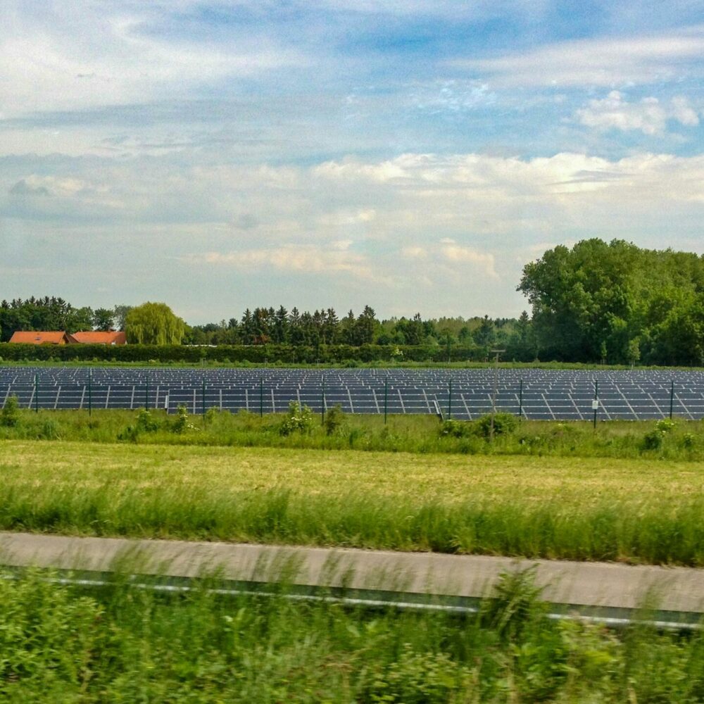 Insider Scoop: How Greater Globe’s Solar Panels Are Revolutionising The Industry