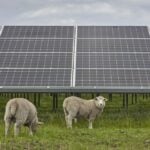 Political clouds cast shadows over Western Europe’s burgeoning solar sector