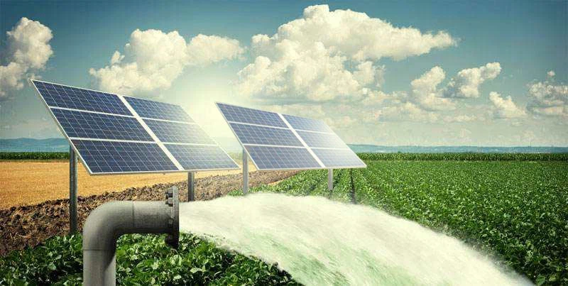 REA, CESEL launch solar irrigation to boost food security, save N413bn