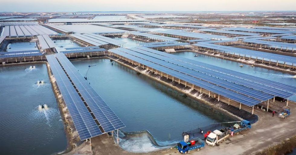 Taiwan Reboots Its Solar-Power Fishponds