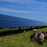 Swansea University develops tool to model solar materials for agriPV projects