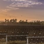 Queensland government, Australia, to examine planning framework for solar PV and batteries