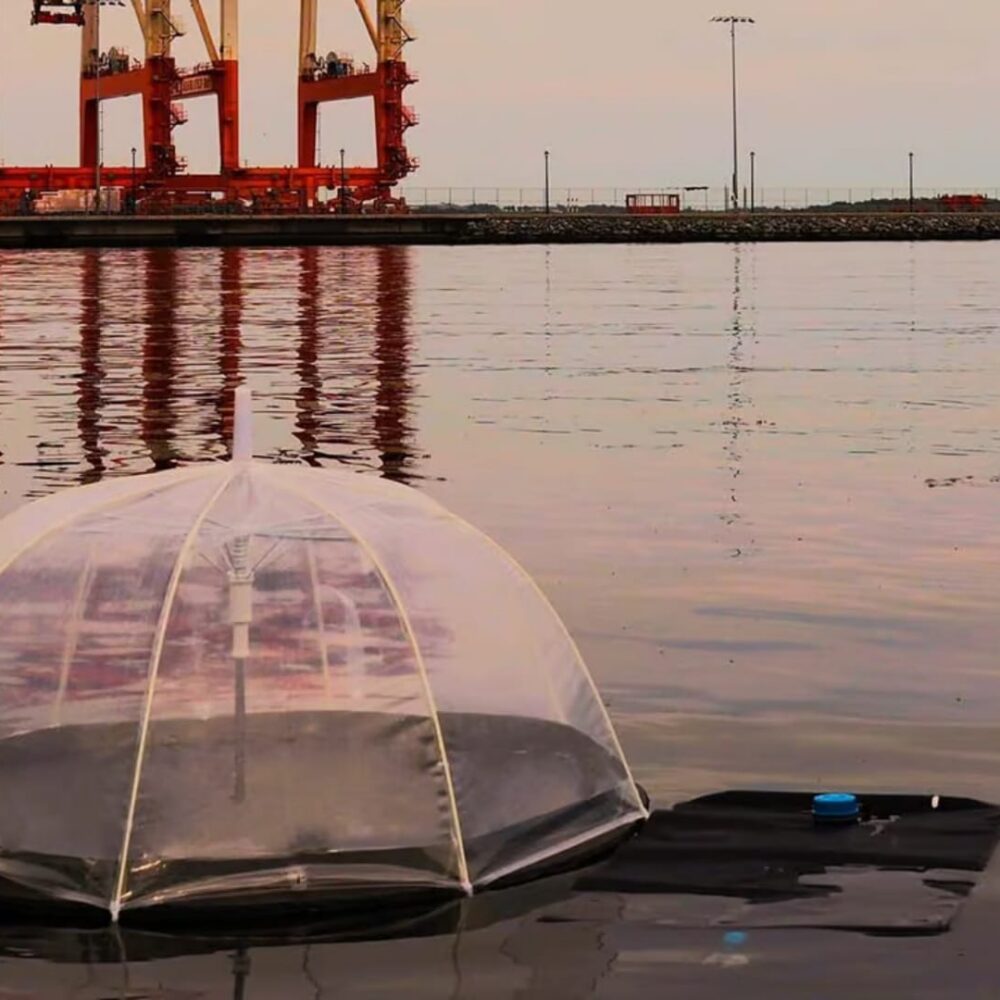 Dalhousie researchers create solar-powered floating water purifier