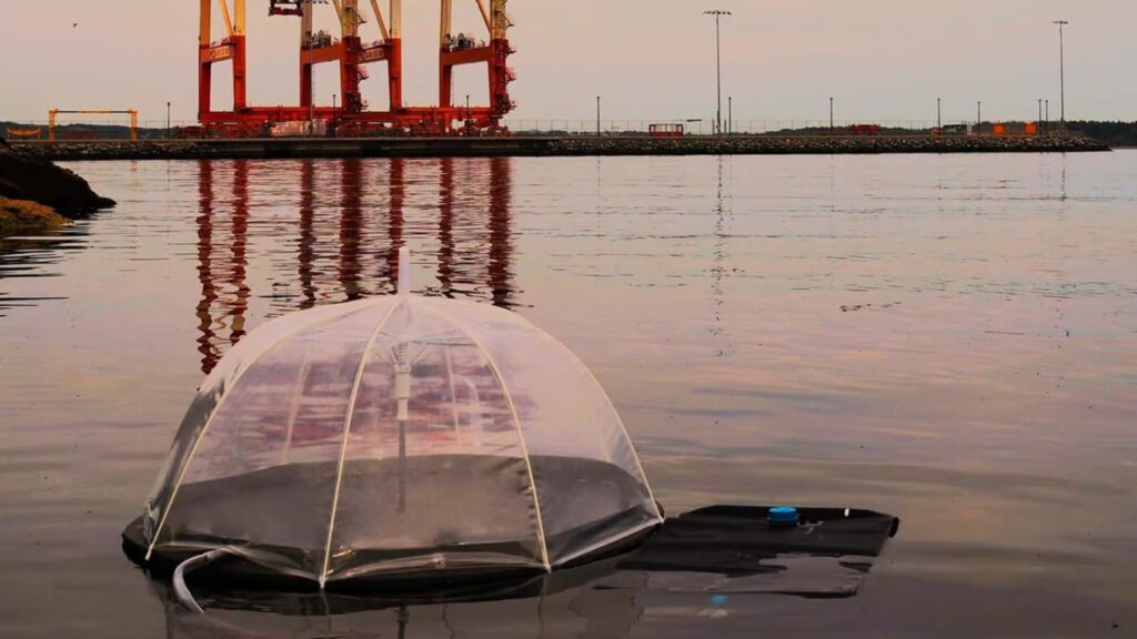 Dalhousie researchers create solar-powered floating water purifier