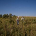 RWE to develop 5.5GW US solar, energy storage on retired coal mining land