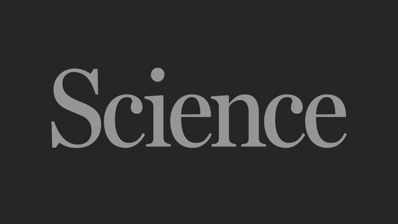 Neither climate laboratory nor knowledge vacuum: What’s at stake for the Global South in the debate around solar geoengineering research | Science