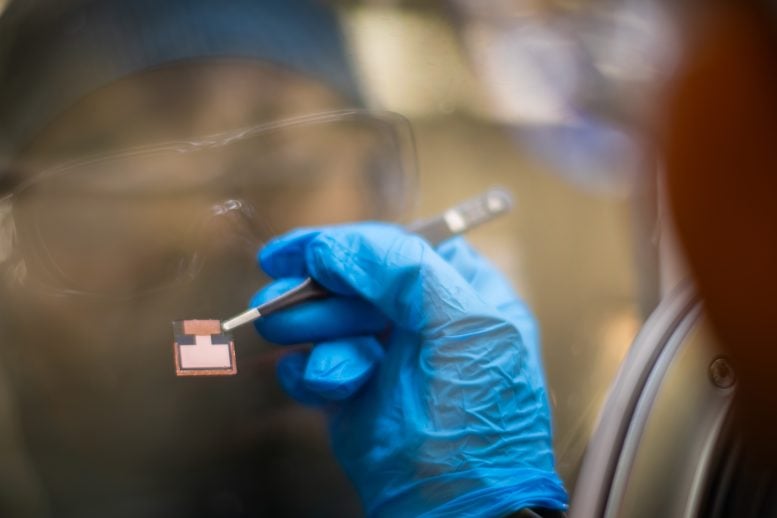 Solar Cell Breakthrough: Scientists Boost Efficiency and Longevity With Miracle Material