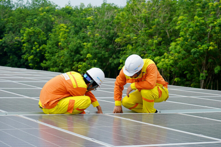 Renewables won’t save us from climate catastrophe, experts warn; what will?