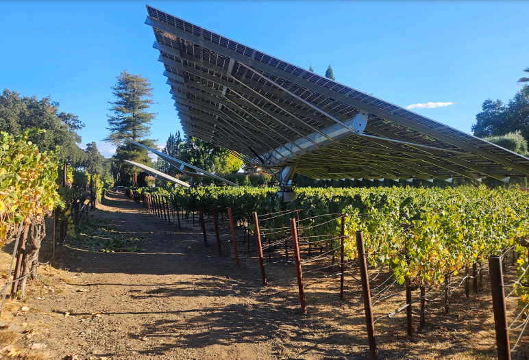 California winery installs solar with dual-axis tracking