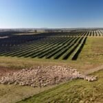 Acen Australia seeks EPBC approval for 100MW solar-plus-storage site in New South Wales