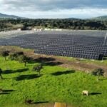 Growing risk appetite is ‘very rational’ in solar investment, says Santander