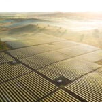 AEMO: Grid-scale solar PV on Australia’s NEM sets new quarterly high with over 2GW