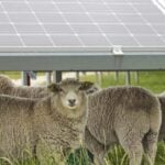 Joint venture reaches financial close on 202MW solar PV plant in New Zealand
