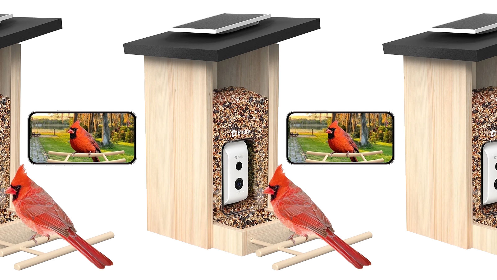 Get the $229 Birdfy Smart Bird Feeder Camera for just $109 before it sells out