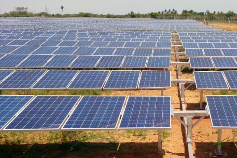 Solar farm expansion in India brings concerns of reckless herbicide use