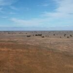 HDRE and ZEN Energy JV to build 795MW solar-plus-storage portfolio in Australia