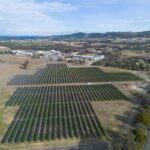 Anti-hail TOPCon solar PV modules from Canadian Solar get first deployment in Australia