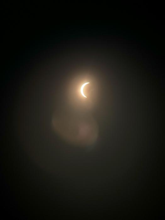 Away From Humans, Birds Fall Completely Silent During A Total Solar Eclipse