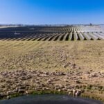 400MW solar plant in New South Wales to supply 45% of BOC Australia’s energy needs