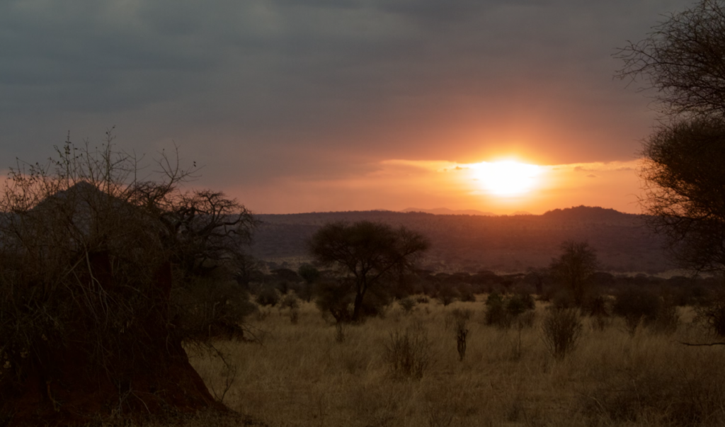 Zimbabwe seeking contractor for 5 MW of solar