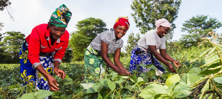 Kenya’s Farmer Lifeline, Pollen Patrollers & Solar Freeze Among Startups Shortlisted for Qualcomm Make in Africa 2025 