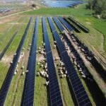 Solaria inks €94 million financing to build 175MW solar PV in Spain