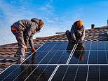 One in five NHS trusts using Chinese-made solar panels ‘linked to slaves’