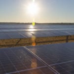 NextEra Energy Resources commissions 100MW Amite Solar facility in Louisiana