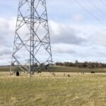 Australia: Landowner-led 250MW solar plant lands federal approval in just 20 days