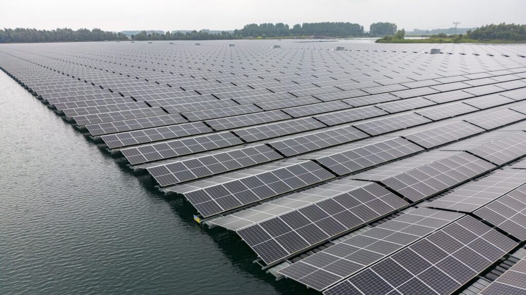 What will the rise of floating solar panels mean for wildlife?