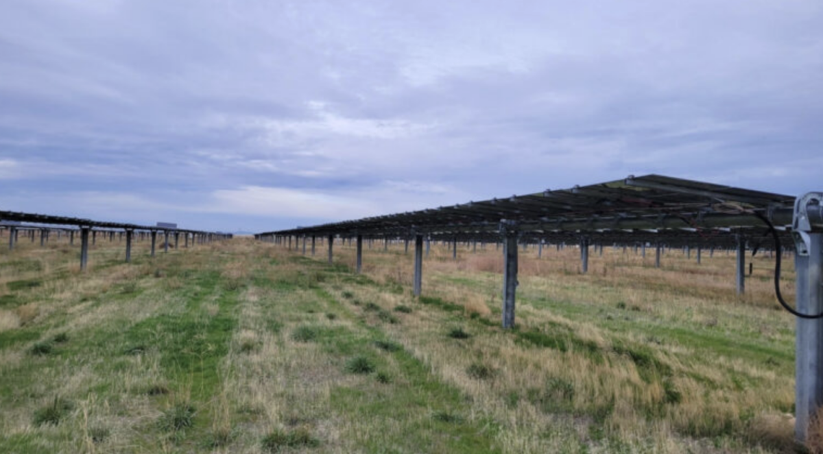 Enfinity closes $245 million for 22 GW solar-storage portfolio