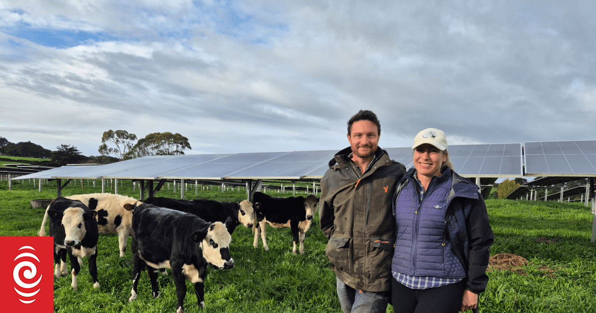 Country Life: How an Auckland farm increased profitability