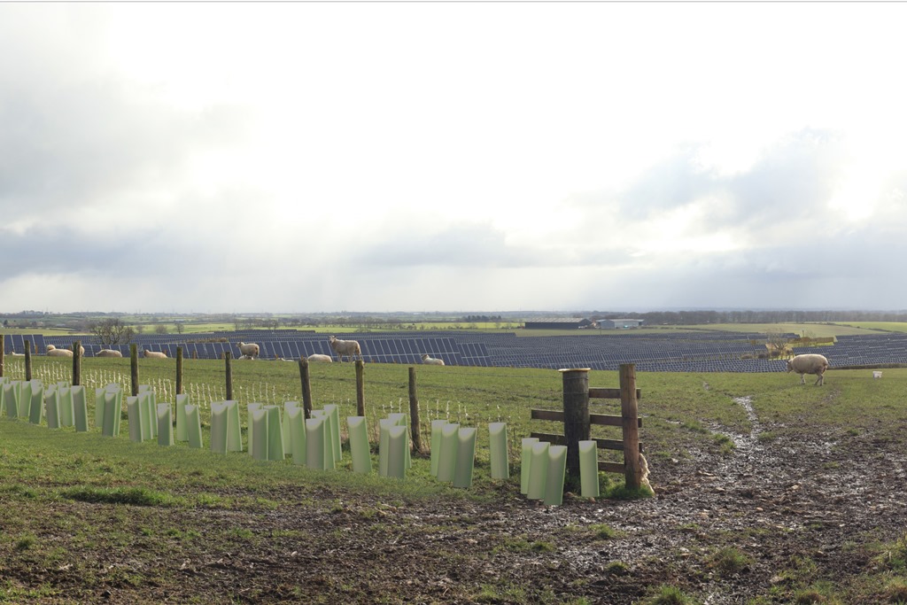Miliband approves Byers Gill Solar Farm