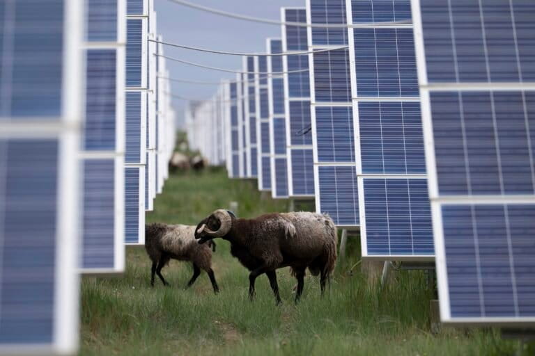 China races to build world’s largest solar farm to meet emissions targets
