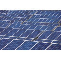 Ferrovial to develop 250 MW solar facility in Milam County, Texas