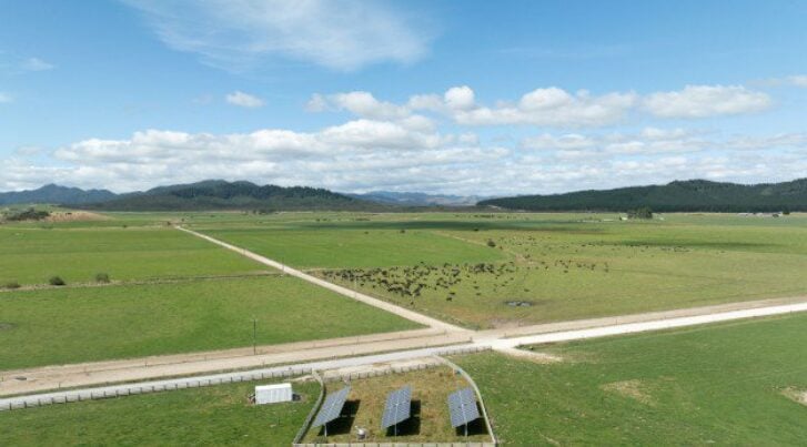 Meridian, Nova break ground on 400MW New Zealand solar plant