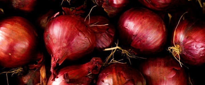 How Red Onion Dye Could Revolutionize Solar Panel Longevity