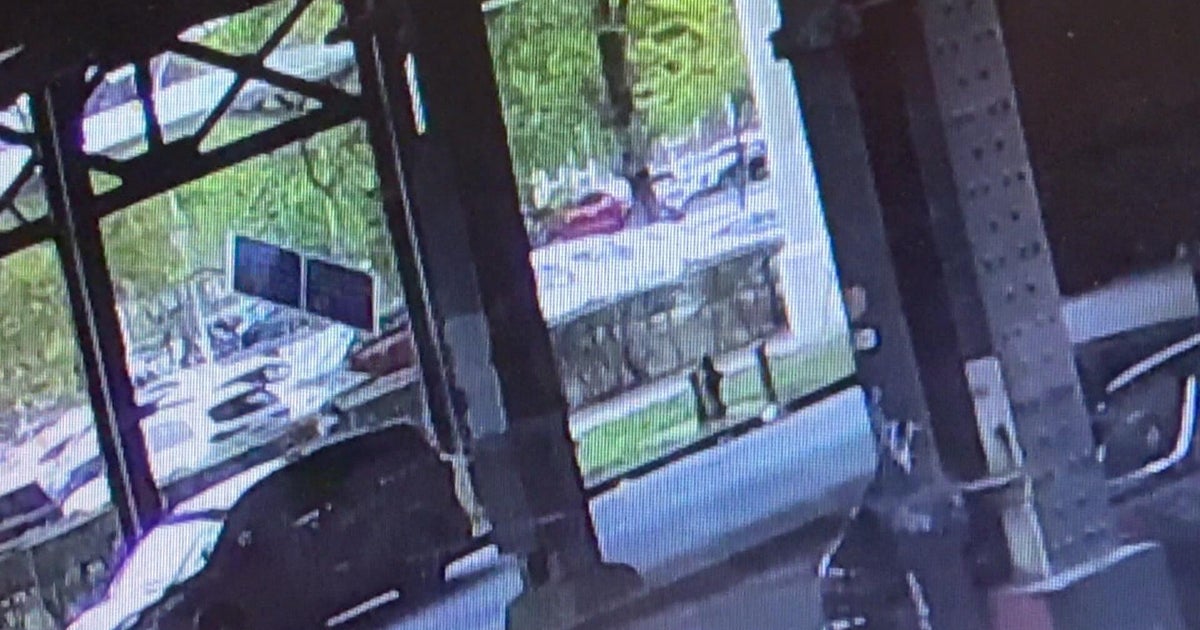 NYC woman killed by flying solar panel during nor’easter