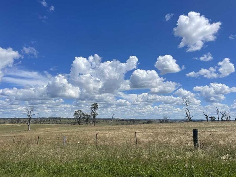 Australian government approves 141MW solar PV power plant in just 19 days