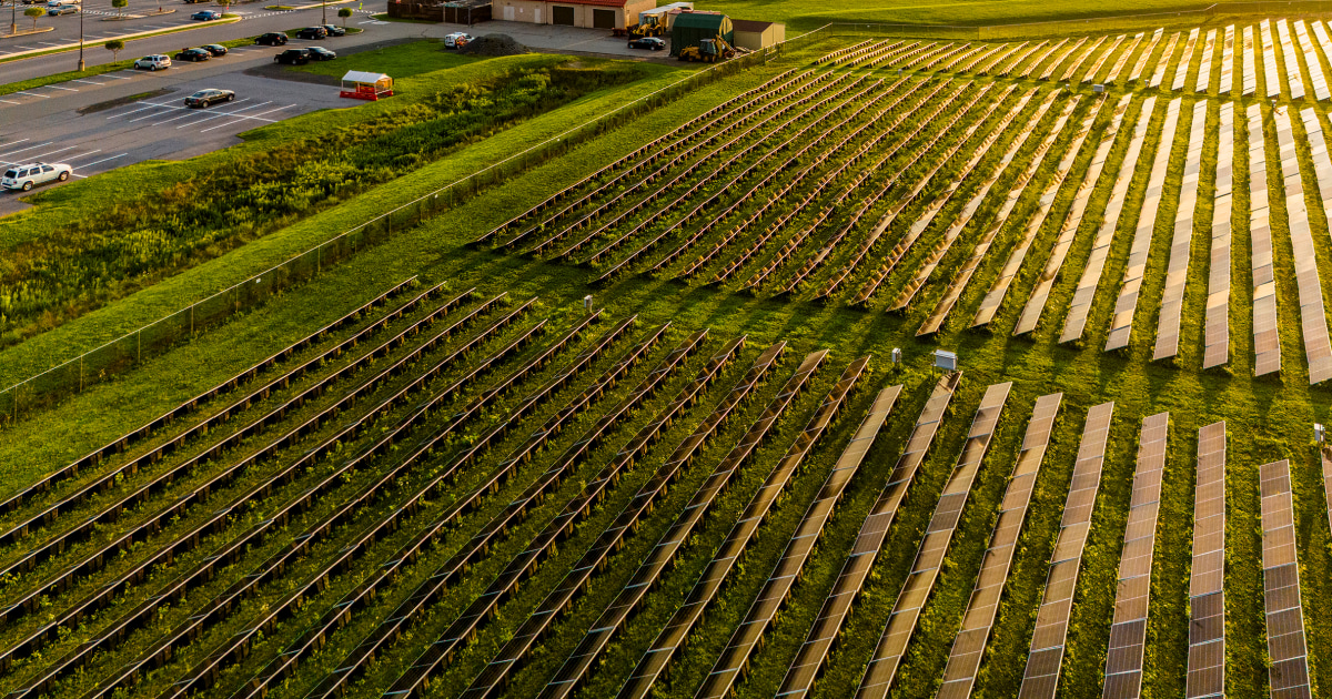 More than 20 states sue EPA over canceled grants for solar power