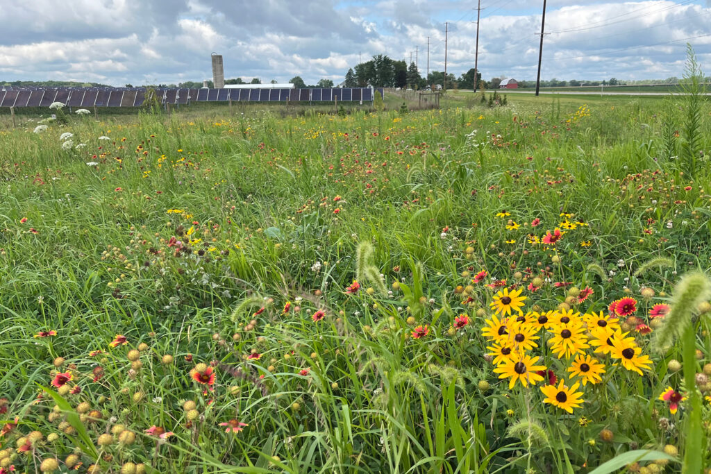 At a Solar Energy Conference, the Star Is … the Soil?