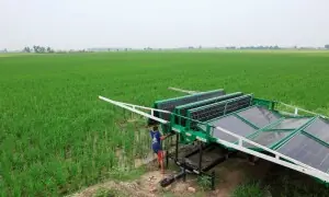 Solar boom helps mitigate Pakistan’s energy deficit, but cost is environmental hazards: experts