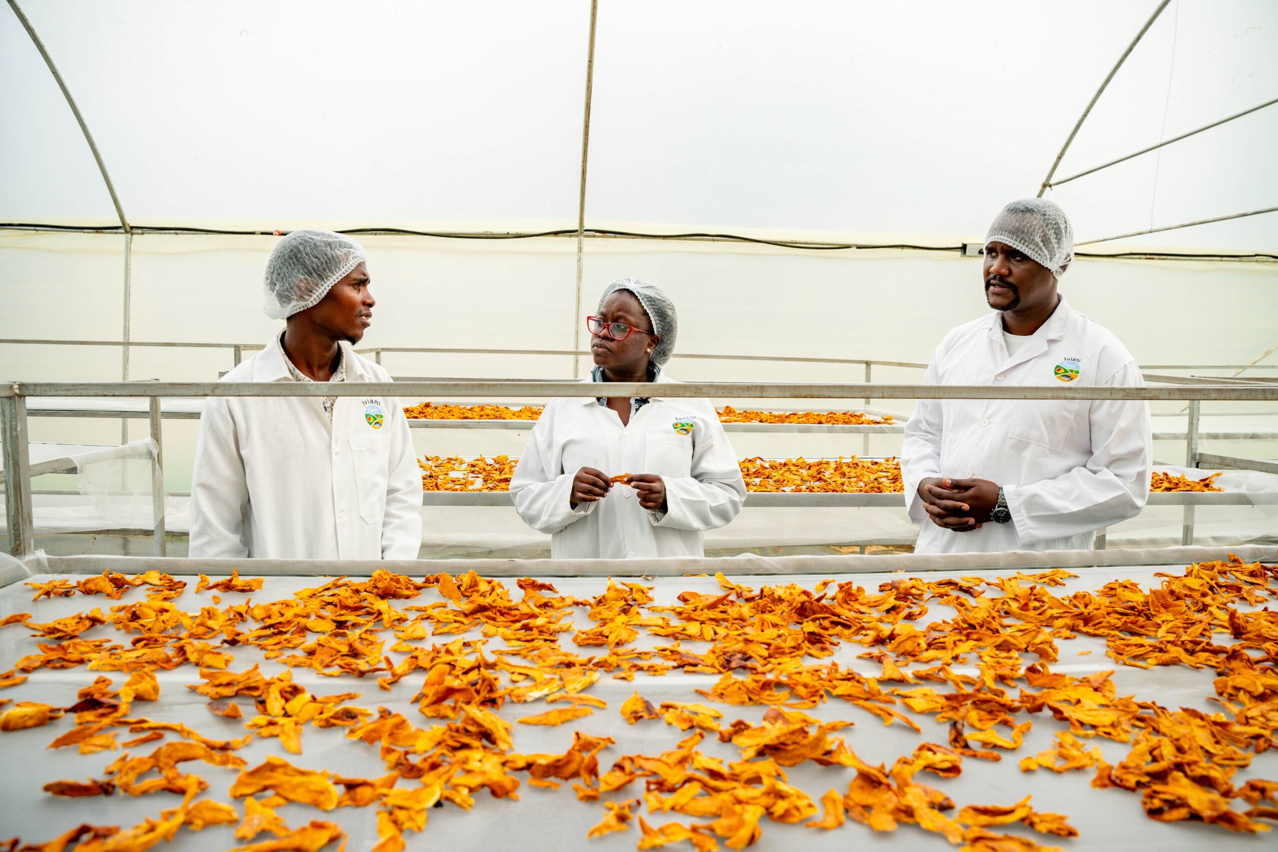 Synnefa Raises $300,000 to Deploy IoT Solar Dryers Across Kenya | to Raise $2M by 2026