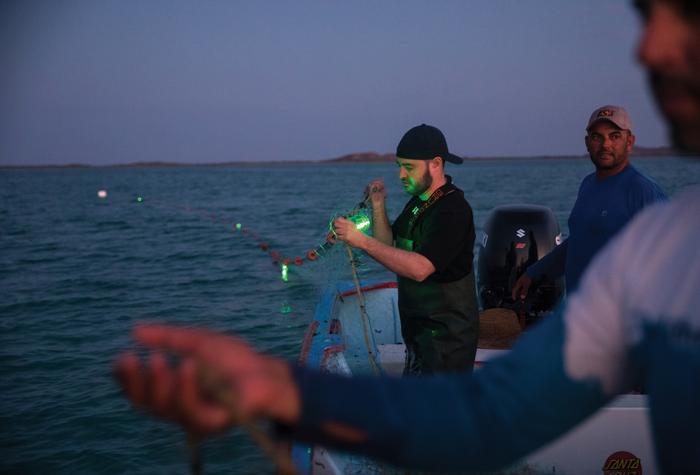 Solar-lit fishing nets cut sea turtle bycatch by 63%, Mexico trials show