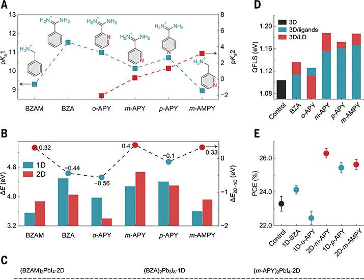 Multivalent ligands regulate dimensional engineering for inverted perovskite solar modules | Science
