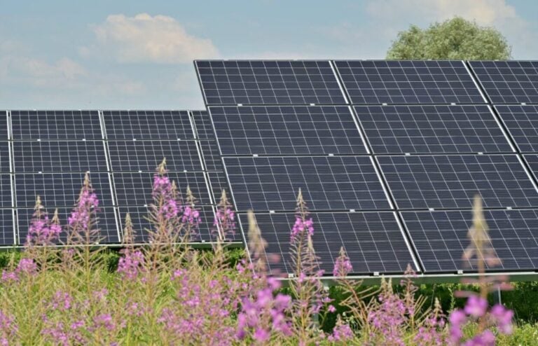 CLASS trade association launches, aims to expand access to community solar and battery storage in California